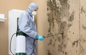 Trusted Amity Gardens, PA Mold Remediation Experts